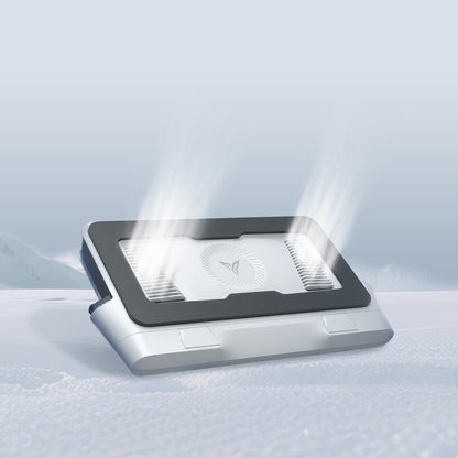 Flydigi BS1