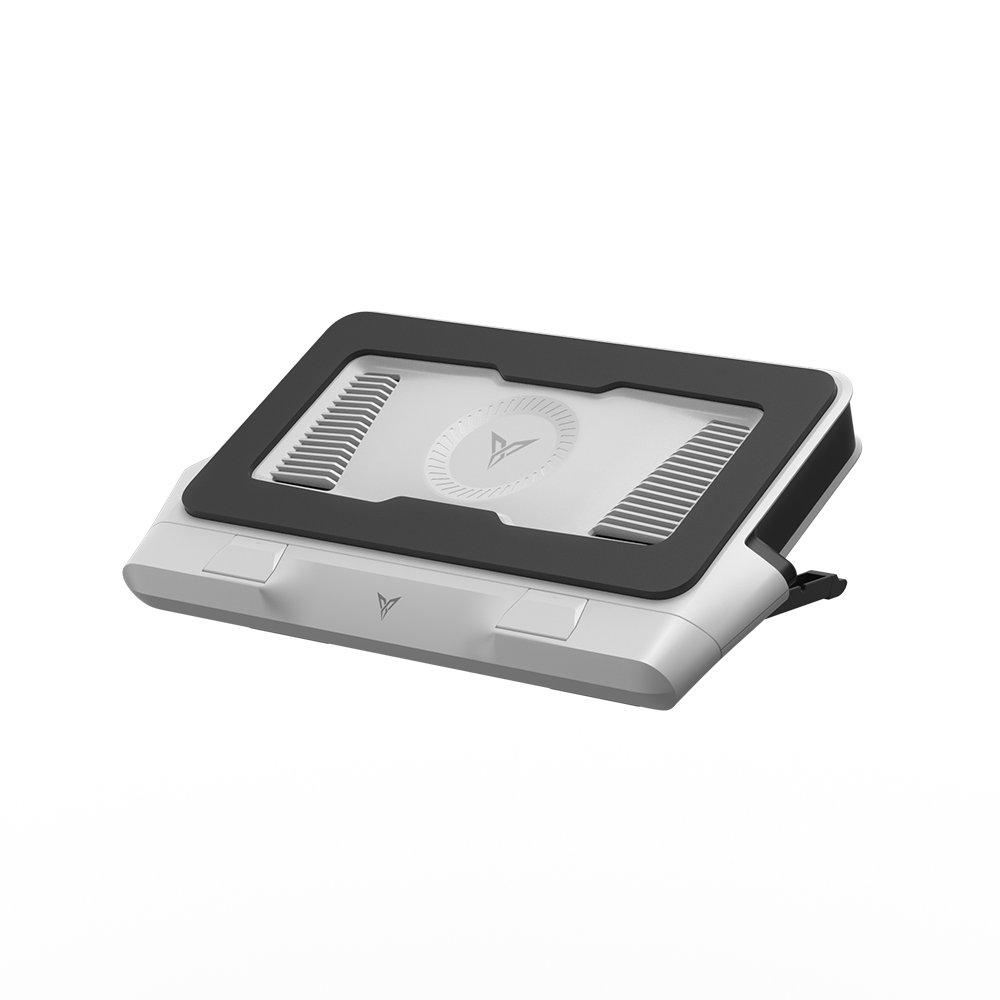 Flydigi BS1