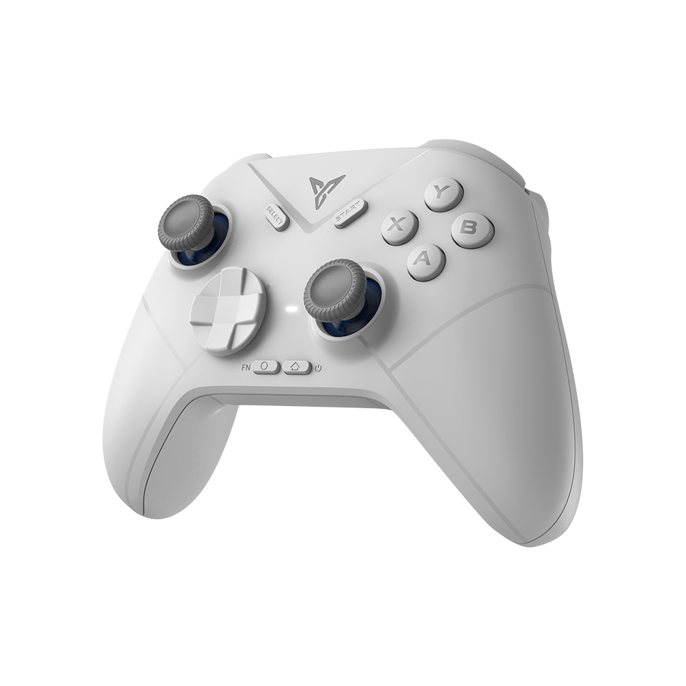 Top 5 Features to Look for in a Gaming Controller – Flydigi