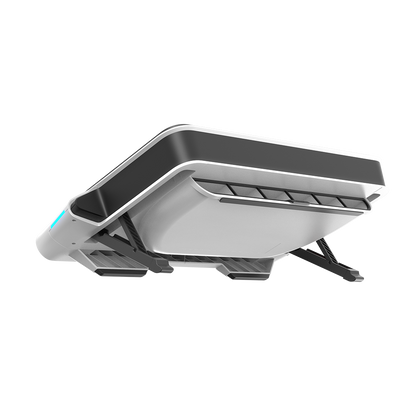 Flydigi BS1